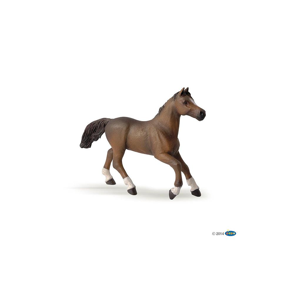 Jument anglo-arabe, Figurine des Chevaux, Poulains & Poneys Papo