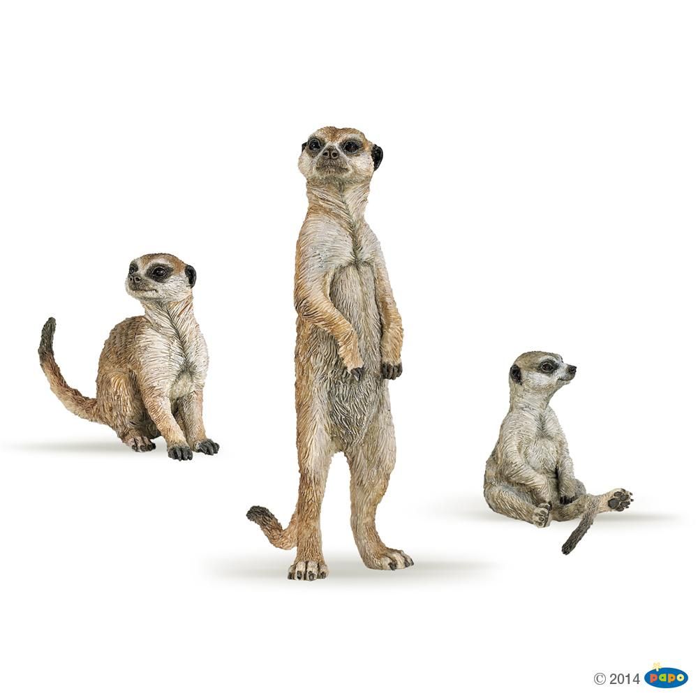 Boîte présentoir 3 suricates , Figurines de La Vie Sauvage Papo