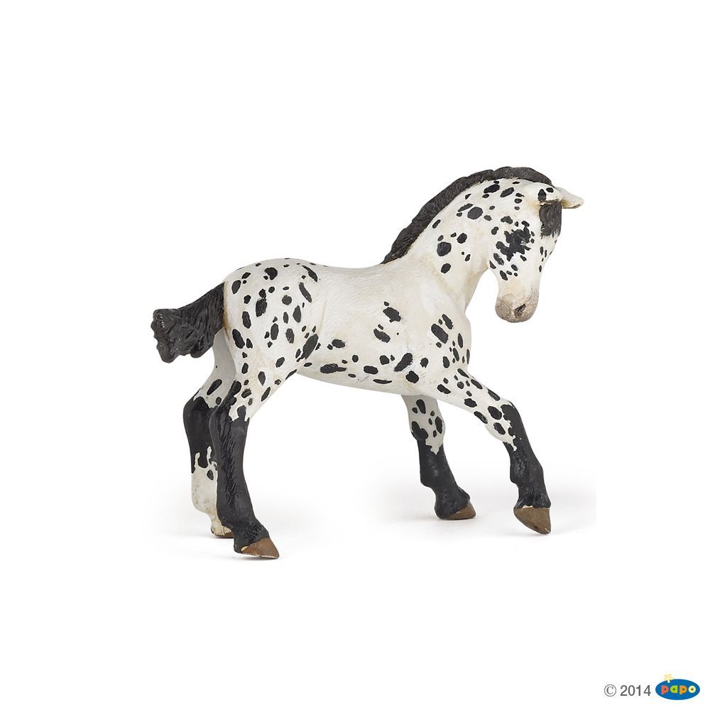 Poulain appaloosa noir, Figurine des Chevaux, Poulains & Poneys Papo