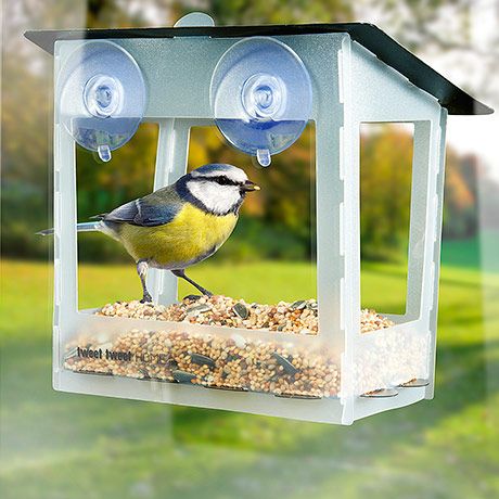 Mangeoire classique transparente avec ve (Tweet Tweet Home)