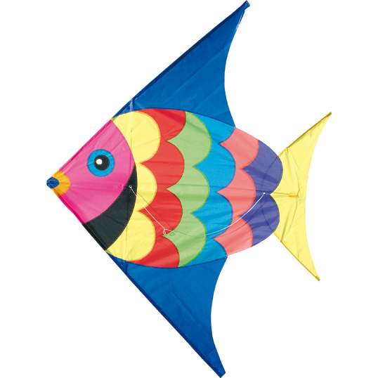 Cerf-volant poisson