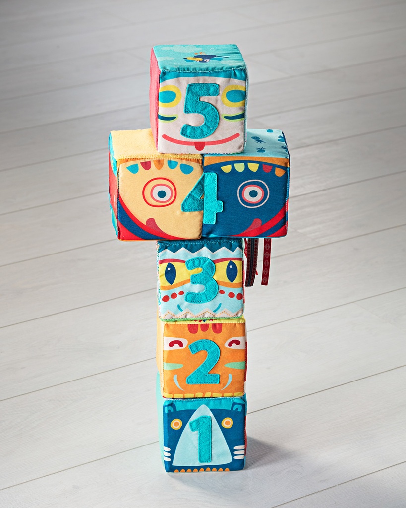 Set de 6 cubes Totem