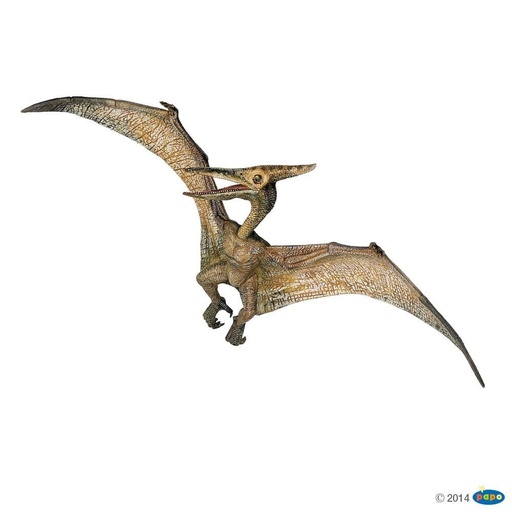[PAP_55006] Ptéranodon, Figurine des Dinosaures Papo