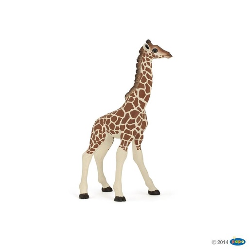 [PAP_50100] Girafon, Figurine de La Vie Sauvage Papo
