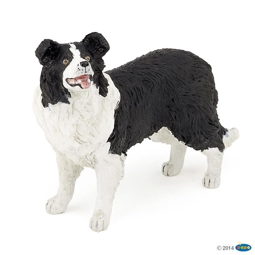 [PAP_54008] Border collie, Figurine des Chiens & Chats de compagnie Papo