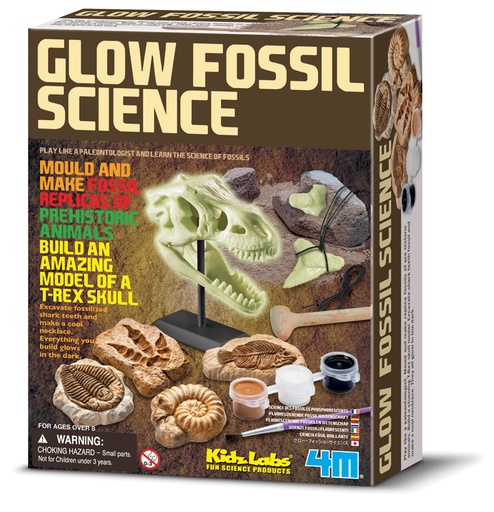 [DAM_5603356] 4M Kidzlabs: SCIENCE FOSSILE PHOSPHORESCENT