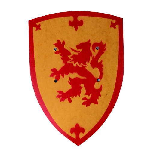 [VAH_197] Bouclier, motif Anglais, incurvé