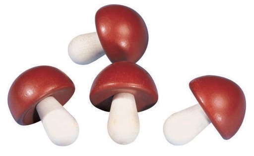[HAB_1365] Champignon