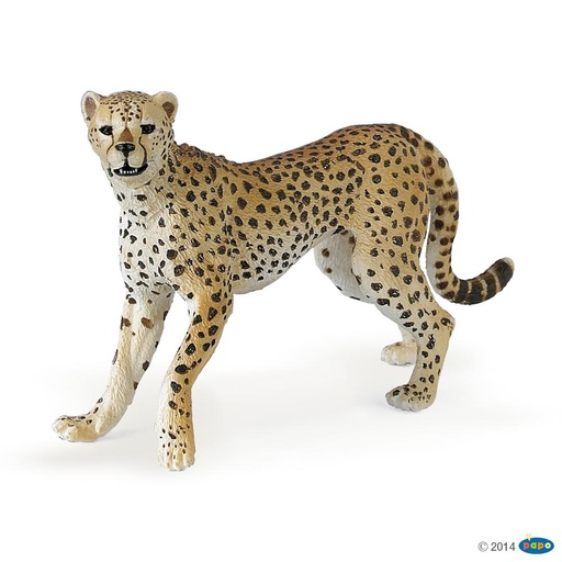 [PAP_6850020] Guépard (Papo)