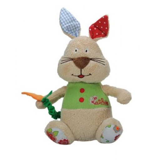 [LAT_332904] Le lapin musical  