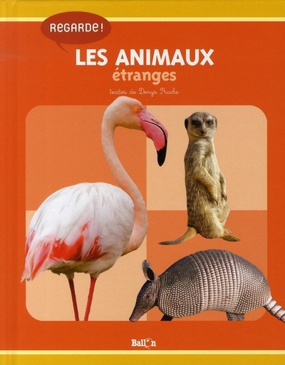[AKI_210930] Les animaux étranges