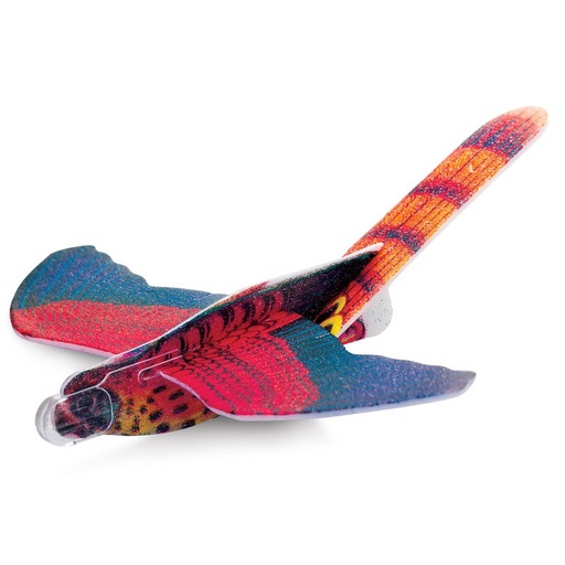 [DAM_6130168] Planeur polystyrène: OISEAU