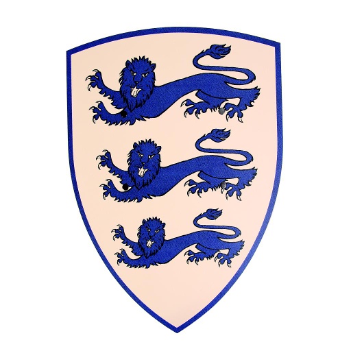 [VAH_139] Grand Bouclier 3 Lions bleus, incurvé